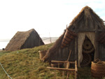 Thatched seaweed drying huts