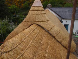 Thatched long house, Wales