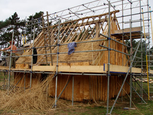 Applying an made in situ under thatch